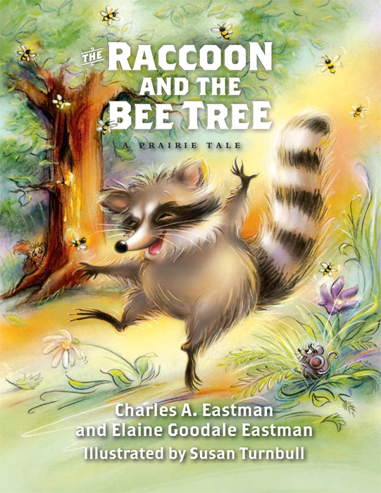 Raccoon and the Bee Tree Cover for web